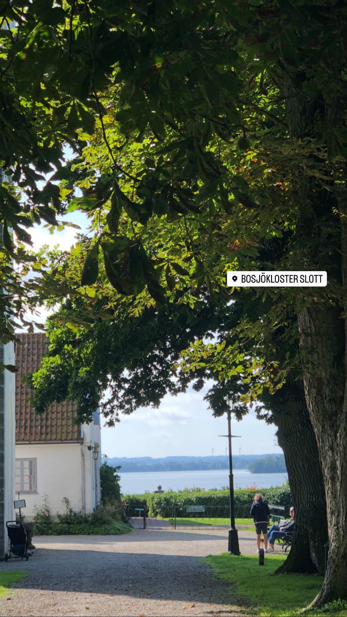 Bosjökloster slott, en somrig bild med Ringsjön i bakgrunden.